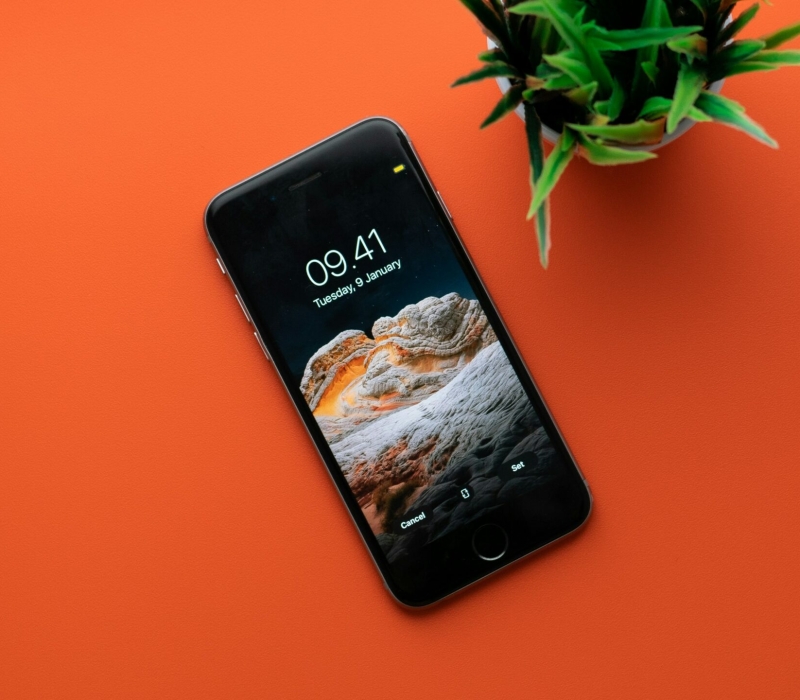 shiwa-id-Bajw65b3mXo-unsplash